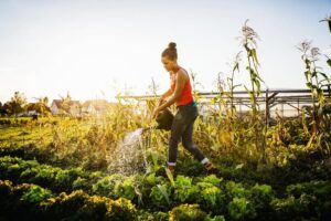 Gardening with a Community