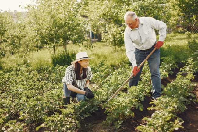 Gardeners