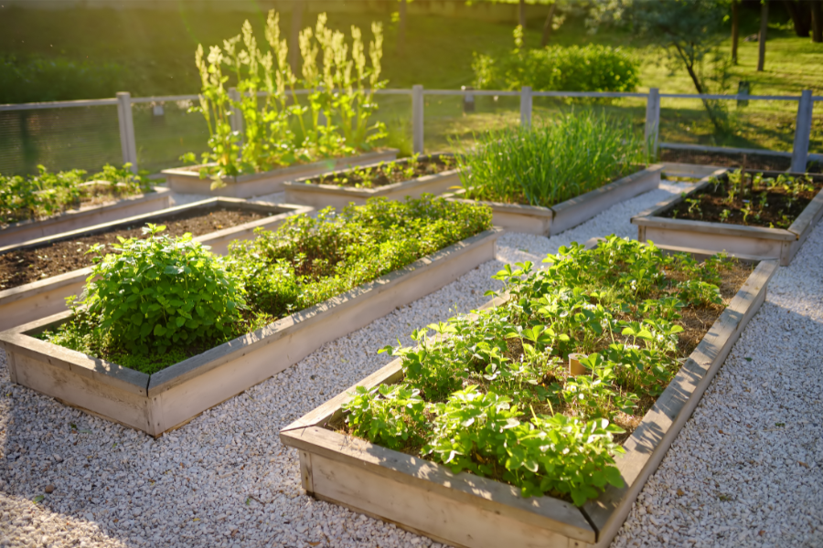 Community Garden