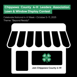 Chippewa County 4-H Leaders Association Lawn & Window Display