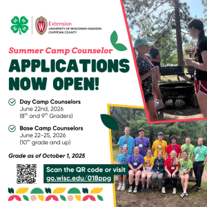 Camp Counselor Applications – Now OPEN