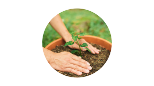 Gardening for Future Generations