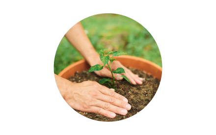 Gardening for Future Generations