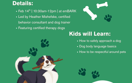 Pawsitive Choices: Dog Safety for Kids