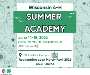Summer Academy