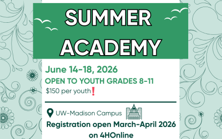 Summer Academy