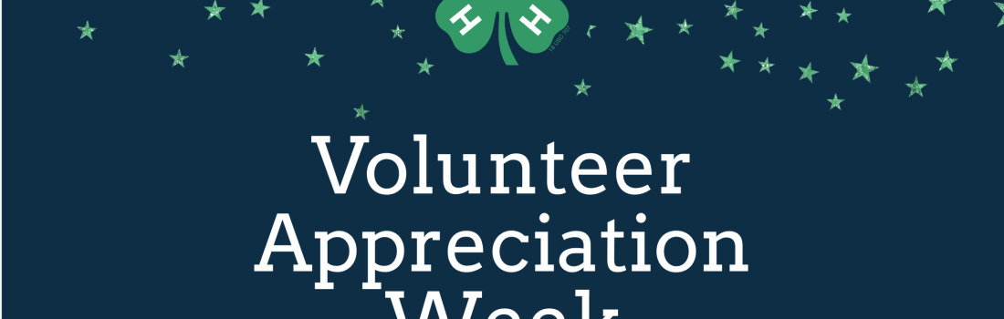 Volunteer appreciation week design with green stars and 4-H emblem at the top on a navy blue background