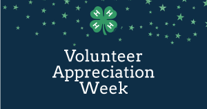 Volunteers shining bright in Chippewa County 4-H