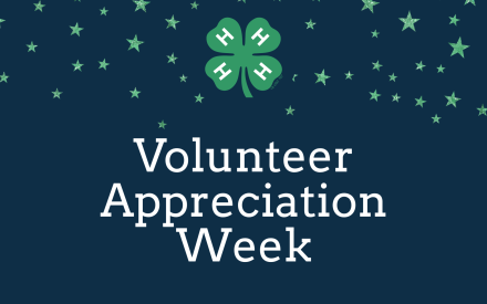 Volunteers shining bright in Chippewa County 4-H