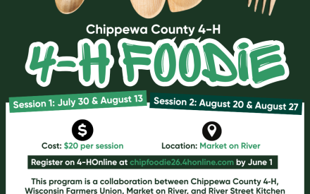 Cook, Learn, and Create at Summer 4‑H Foodie