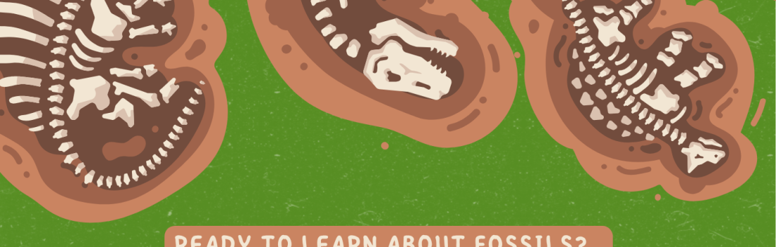 Dig into dino cups poster, july 15 3-4pm, bloomer library