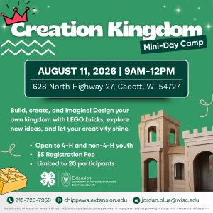 Creation Kingdom – Build, Create, and Let Your Imagination Rule!