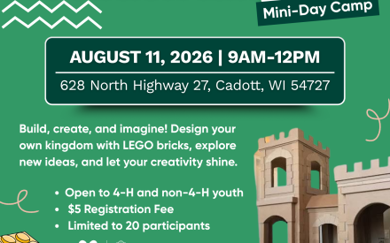 Creation Kingdom – Build, Create, and Let Your Imagination Rule!